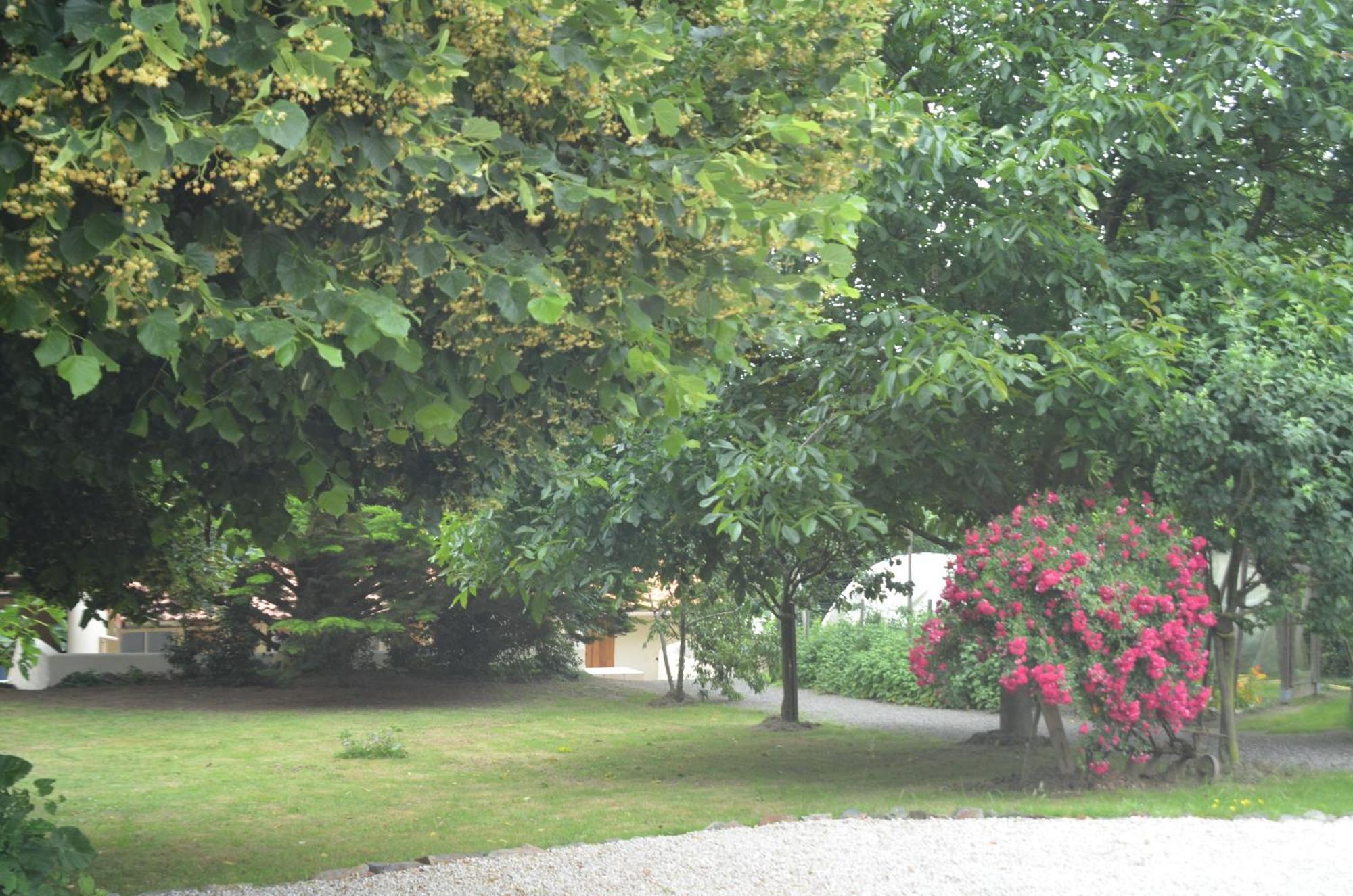 Chambres D'Hotes La Forterie Vairé Exterior foto